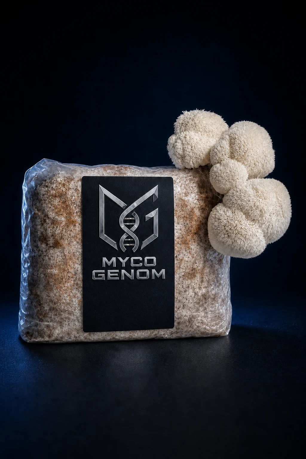 Lion's Mane ready-to-fruit mushroom growing block