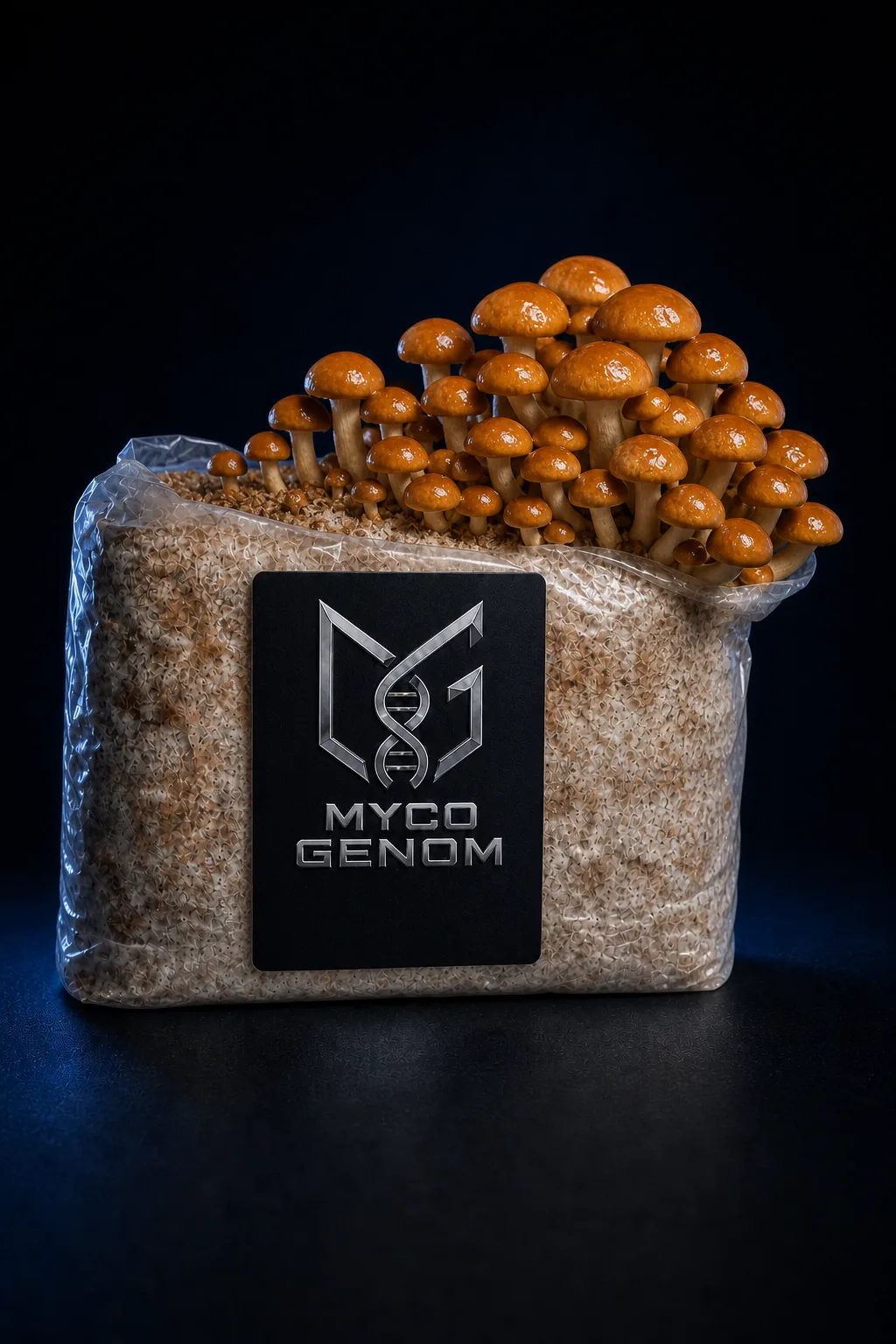 Nameko ready-to-fruit mushroom growing block