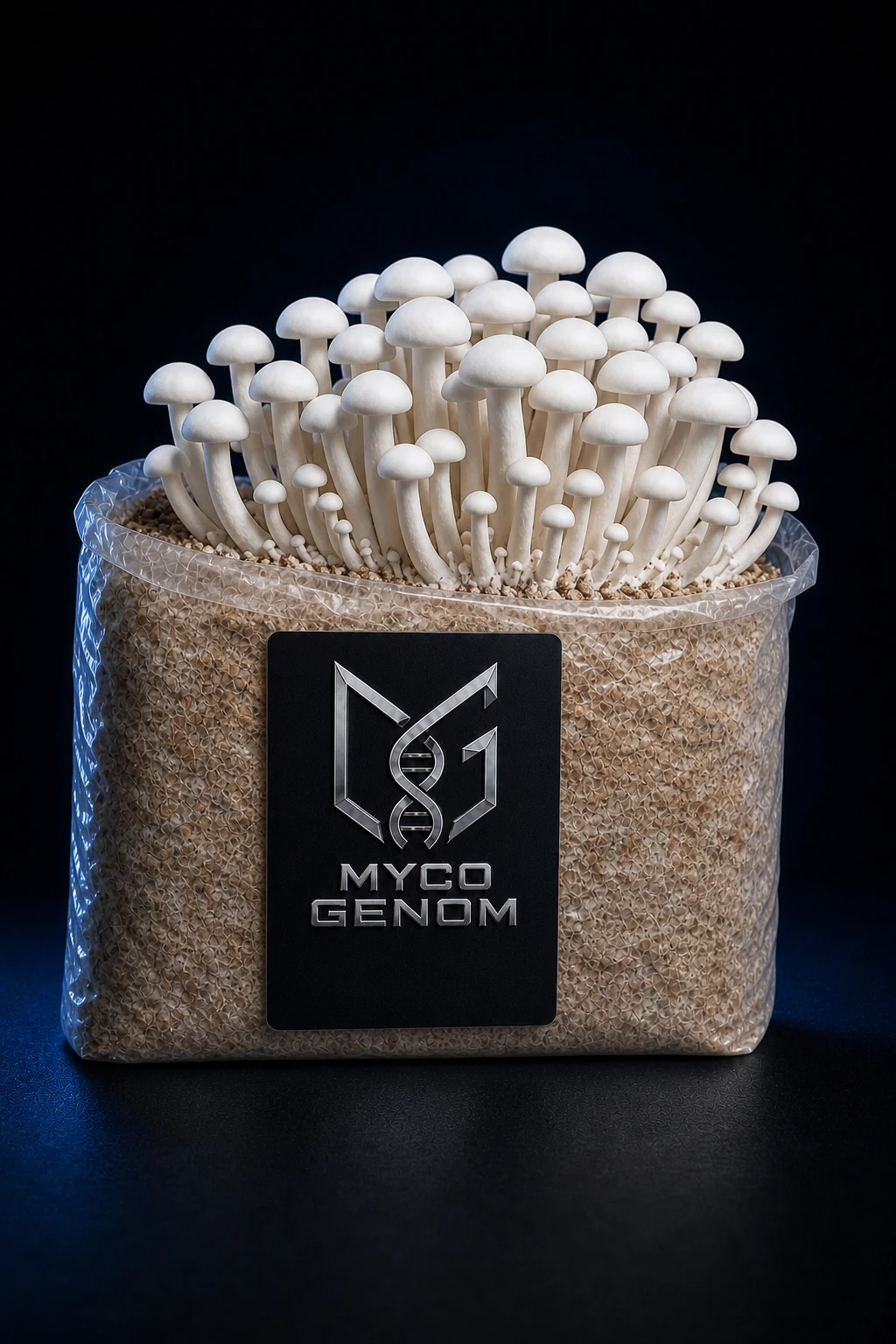 White Beech Buna-Shimeji ready-to-fruit mushroom growing block