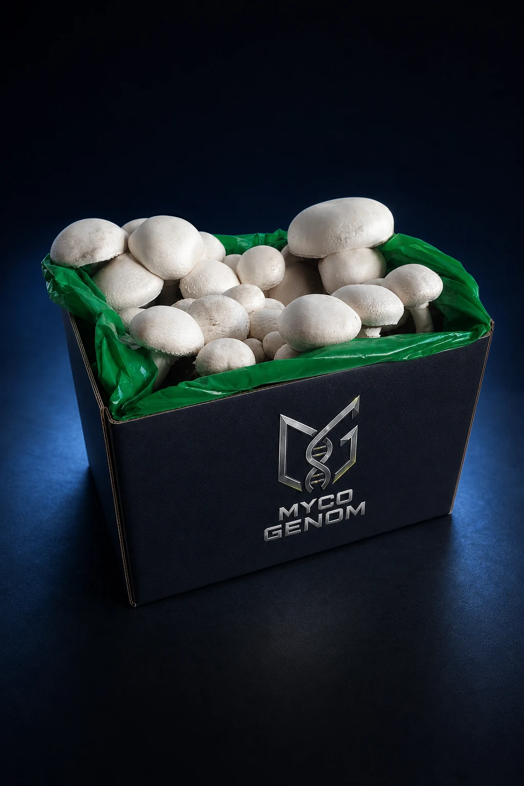 White Button Mushroom ready-to-fruit mushroom growing block